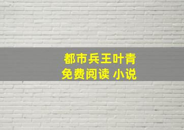 都市兵王叶青免费阅读 小说